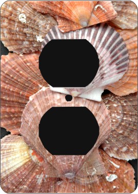 Sea Shells Outlet Cover